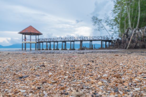 Scattered shells on a black beach. black sand beach is in Trat Thailand