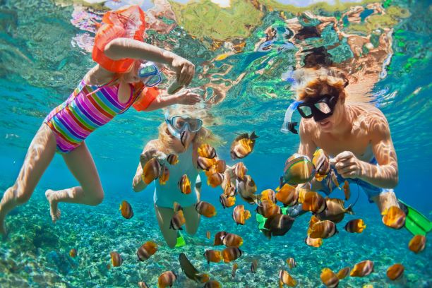 explore the sea world at the numerous islands in Phuket