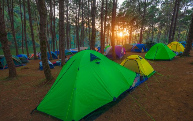 Camping and tent under the pine forest in sunset