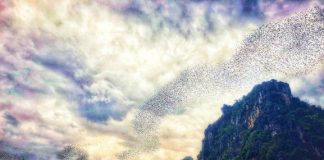 Chao Ram Cave (Phra Ram Cave) Chao Ram Cave (Tham Chao Ram) -Sukhothai