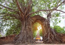 Wat Phra Ngam (Unseen Thailand) Gate of time, Unseen Thailand at Wat Phra Ngam, Ayutthaya, Thailand