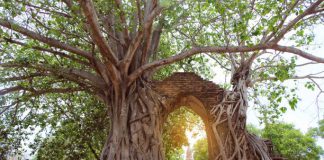 Wat Phra Ngam (Unseen Thailand) Gate of time, Unseen Thailand at Wat Phra Ngam, Ayutthaya, Thailand