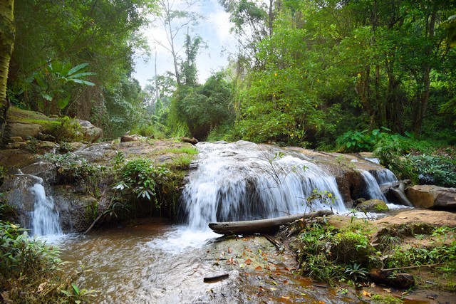 Mae Sa Noi waterfall,nature trail at Queen Sirikit Botanic Garden