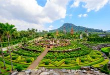 Suan Nong Nooch Suan Nong Nooch Pattaya in Chonburi Thailand