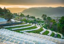 The Royal Agricultural Station Inthanon The Royal Agricultural Station Inthanon