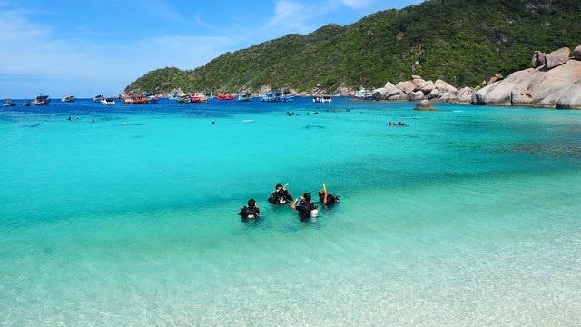The Snorkelling Spots