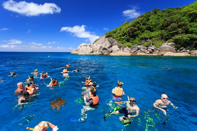 Tourists who are swimming with sea turtles on Similan Islands In the tourist season of Thailand
