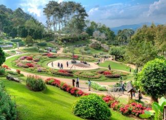 Doi Tung (Mae Fah Luang) Doi-Tung Mae Fah Luang in Chiang Rai