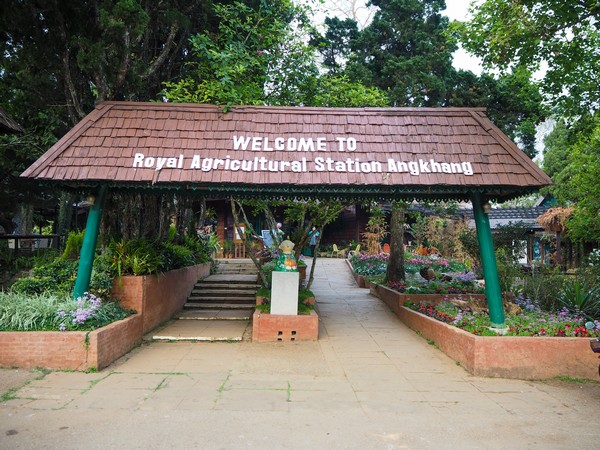 Royal Agricultural Station Angkhang