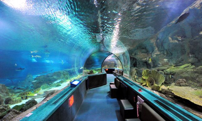 How to get to Underwater World Pattaya