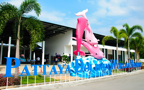 How to go to Pattaya Dolphin World 
