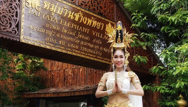 How to go to Pattaya Elephant Village