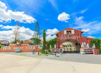 Pattaya Sheep Farm Pattaya Sheep Farm